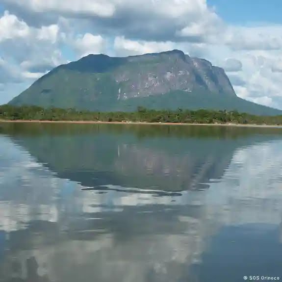 SOS Orinoco alerta del ecocidio en la Amazonía venezolana