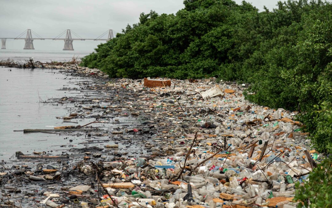 Como basurero: Todos los contaminantes llegan al lago de Maracaibo