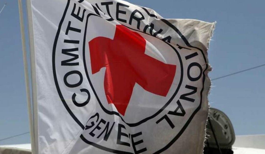 Federación Internacional de la Cruz Roja cooperará con junta ad hoc