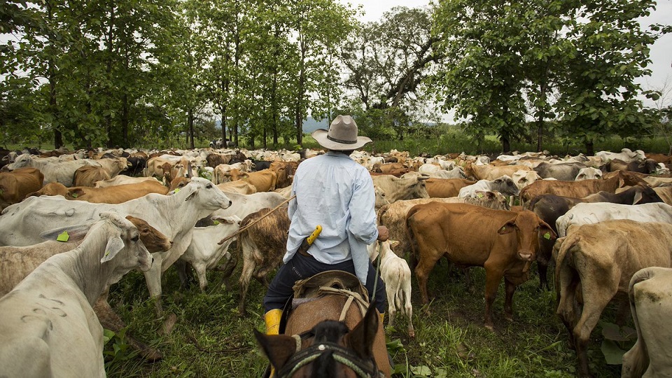Denuncian que la agroindustria venezolana esclaviza y explota a los productores agropecuarios