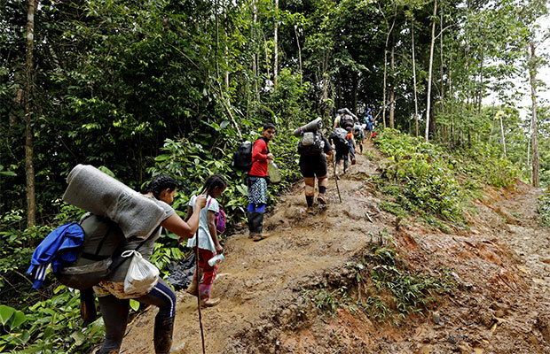 Récord anual de migrantes cruzó la selva del Darién en 2023: Más de 137 mil venezolanos