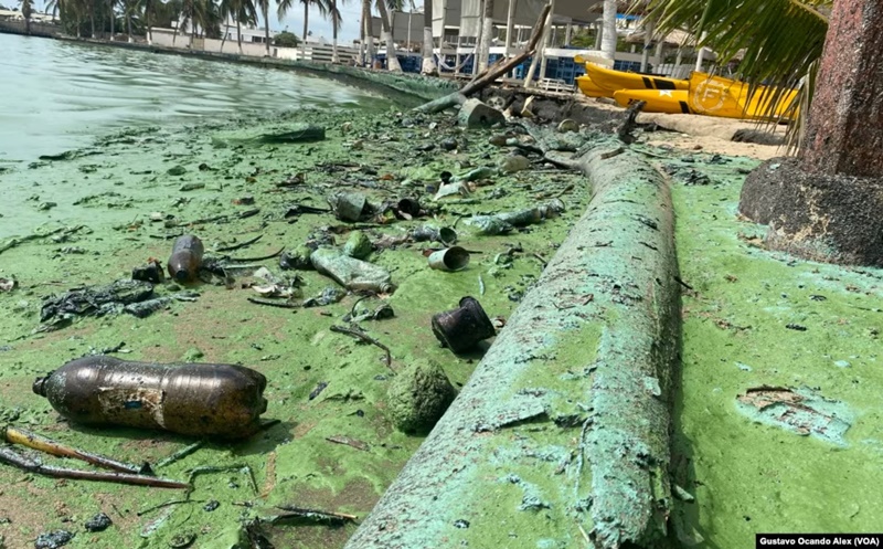 Petróleo y verdín: Zulianos ya no pueden pescar en el Lago de Maracaibo