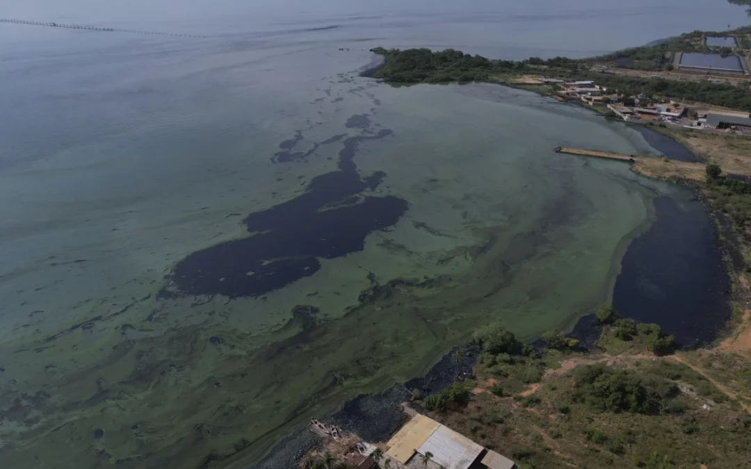 Contaminación en el lago de Maracaibo amenaza la vida en uno de los lagos más antiguos del mundo