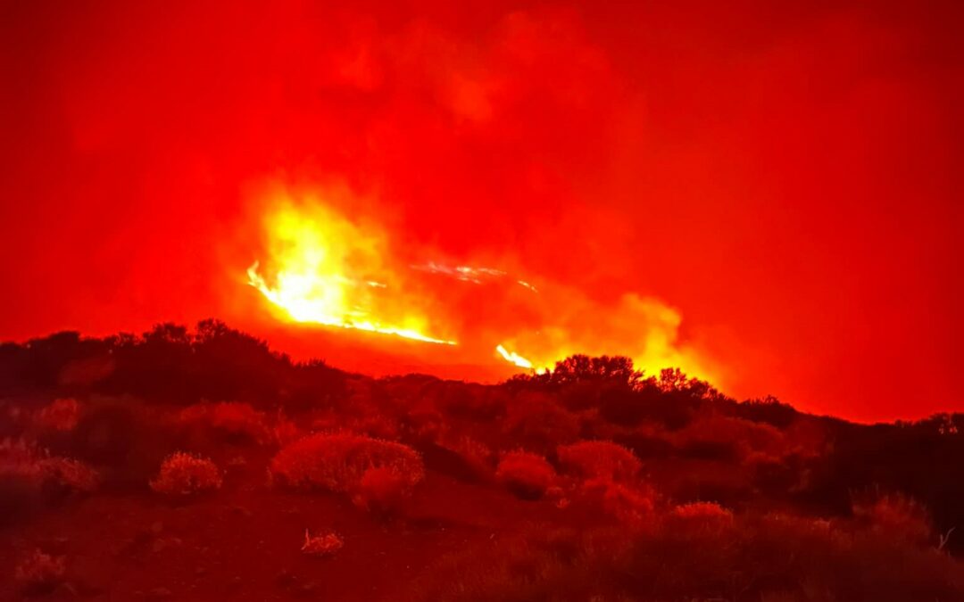 ¡ABRASADOR! Más de 13 mil hectáreas afectadas por incendio en Tenerife