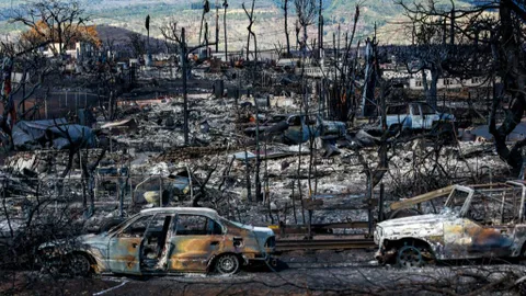 Más de 800 desaparecidos en Maui a 12 días de la tragedia por masivos incendios