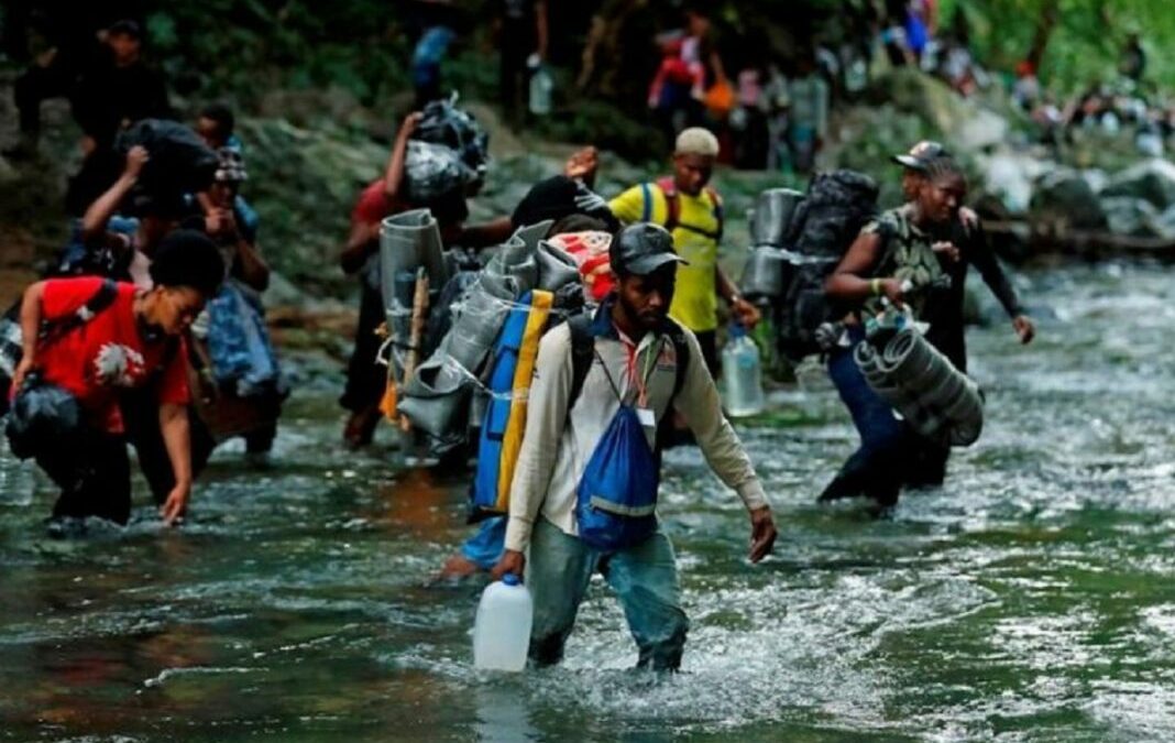 Panamá culpa a entes internacionales de la avalancha migratoria en la selva del Darién