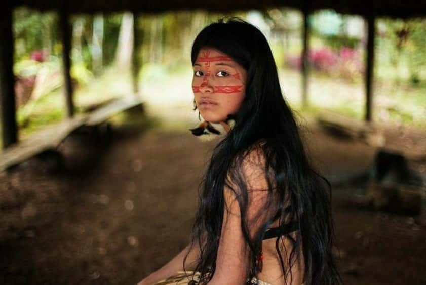 Provea:  Minería ilegal mafias y deforestación ponen en situación crítica a los pueblos indígenas de Venezuela