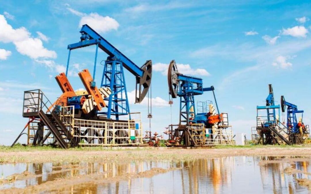 Venezuela aportará reservas petroleras y minerales a los BRICS