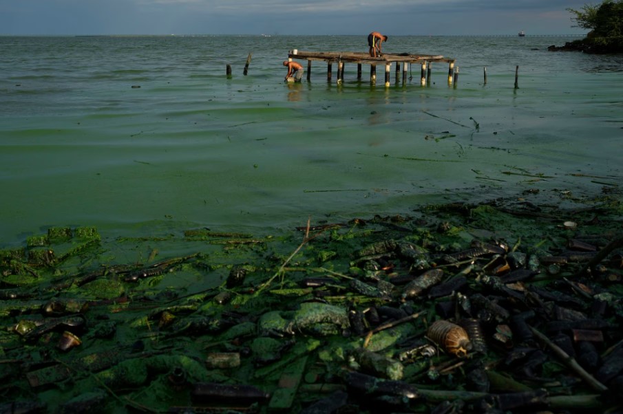 El país: El Lago Maracaibo entra en cuidados intensivos