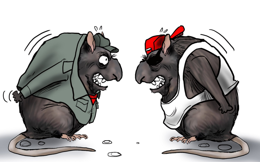 #SinCensura Estas son las caricaturas de hoy 21 de septiembre de 2023