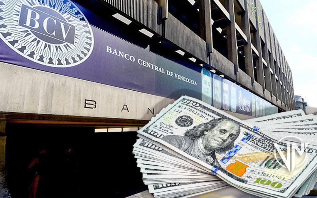 El BCV vende 100 millones de dólares para mantener estable el precio de la divisa estadounidense
