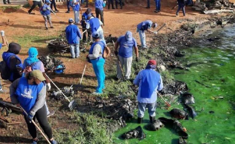 Aseguran que hay avances en la rehabilitación del Lago de Maracaibo