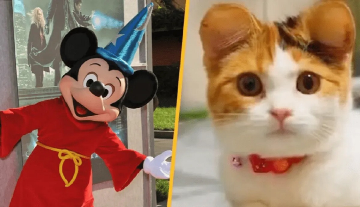 Moda-orejas-mascotas-Foto-Archivo