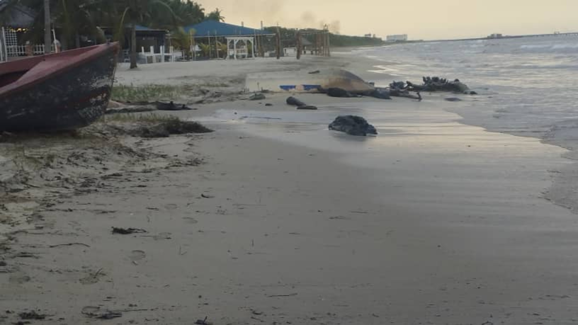 Pdvsa-saneamiento-costa-El-Palito-Carabobo-28.12.2023