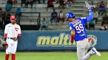 Tiburones – Cardenales: el calendario de la final de la LVBP