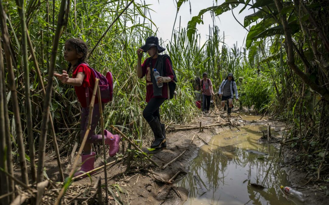 Unos 120.000 menores entre récord de migrantes que cruzaron selva panameña en 2023
