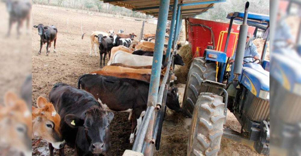 Fedenaga denuncia situación de emergencia del sector ganadero por la falta de combustible