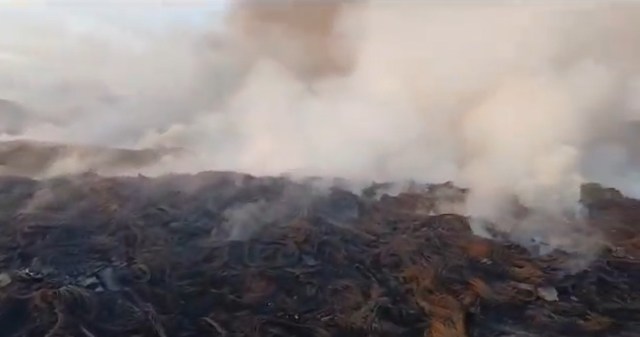 Incendio arrasa con más de 30 mil cauchos en zona industrial de Aragua