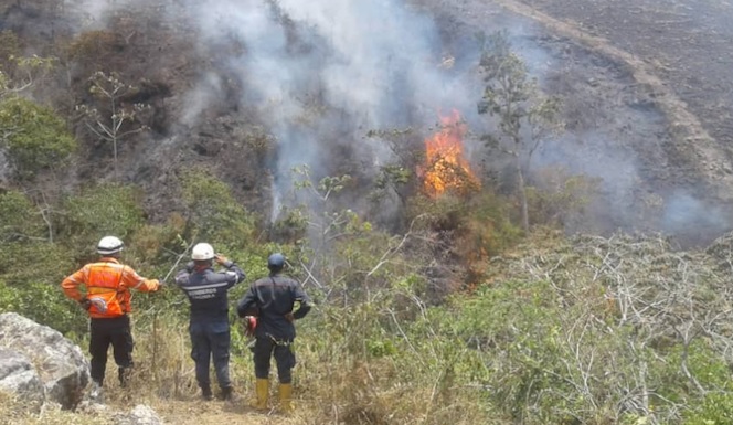 Altas temperaturas generan incendios forestales en Trujillo
