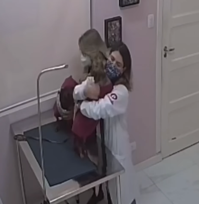 ¡BUENA! Emocionados: Así reaccionan perritos cuando ven a su veterinaria (VIDEO)
