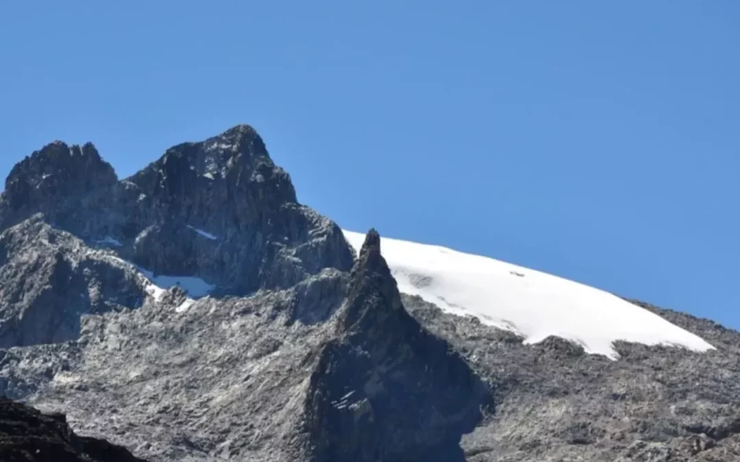 Ecologistas dudan de la efectividad de los trabajos para salvar al glaciar Humboldt