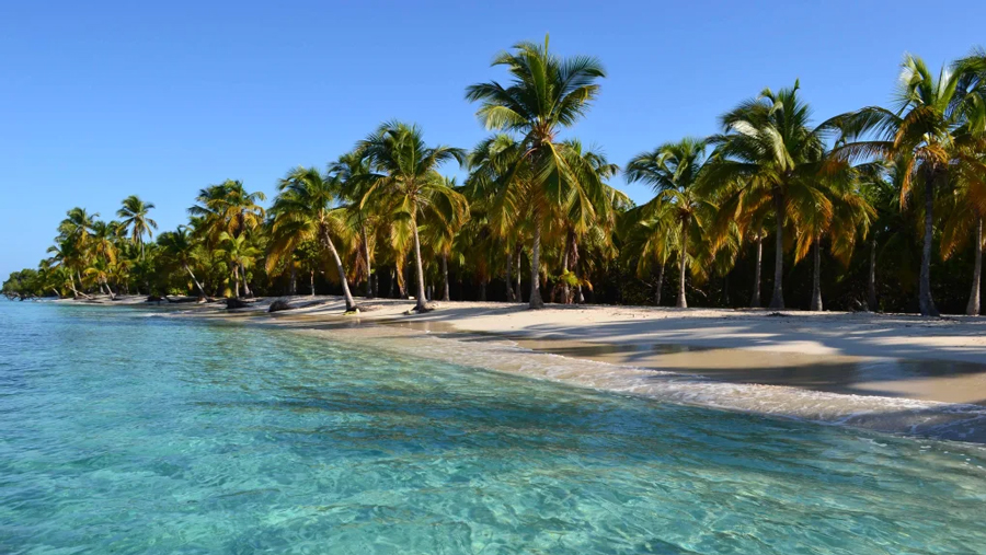 Prevén que destinos costeros serán los más visitados en Semana Santa