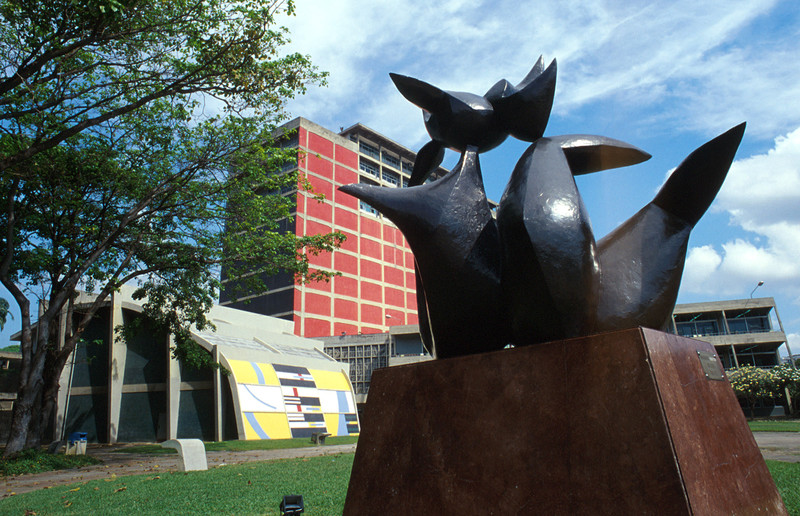 Trabajadora de la UCV denunció haber sido atacada por un grupo de colectivos sin razón justificable