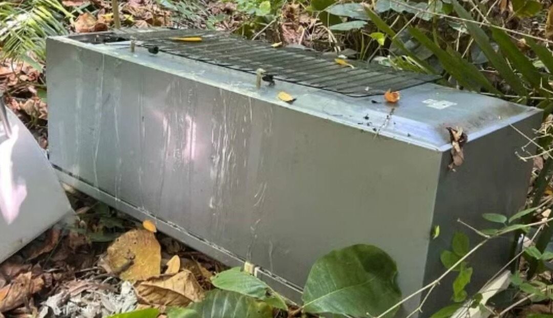 Brasil: Adolescente de 13 años mató a su madre porque no aceptaba su relación con un joven de 22