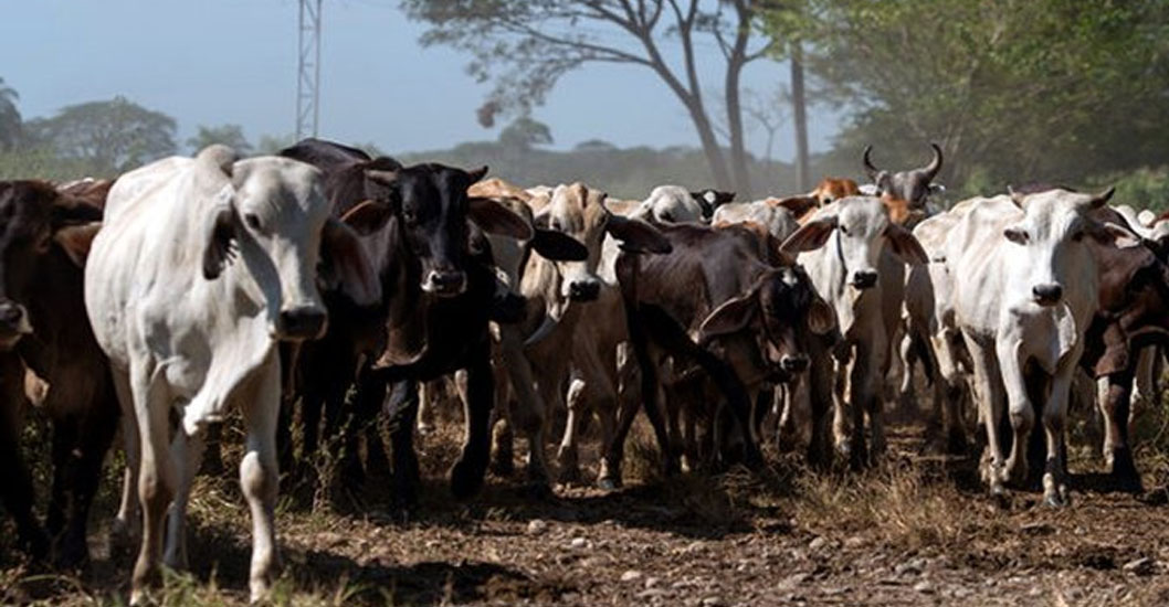 Productor agropecuario Pedro Daniel García denunció atropellos de funcionarios y expropiación de sus activos