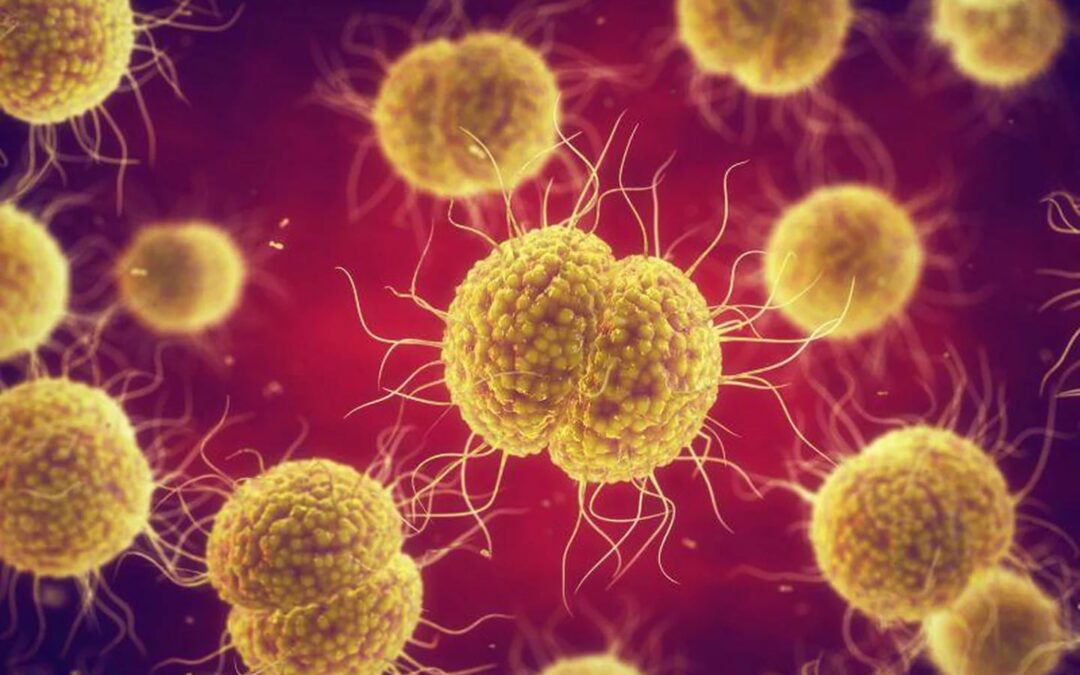 Supergonorrea: emiten alerta mundial por enfermedad infecciosa en China