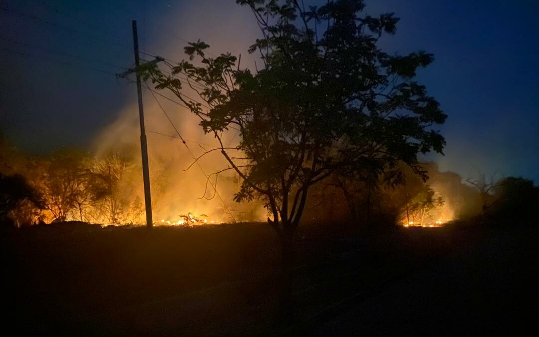 Reportan nuevo incendio forestal en Bachaquero