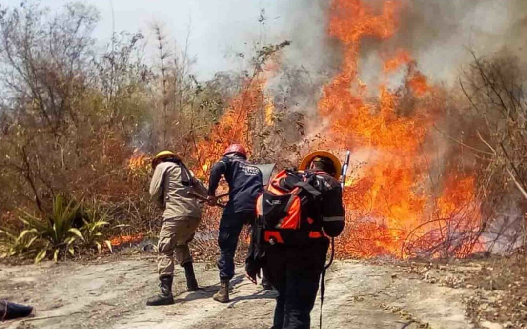 La NASA registra una cifra récord de incendios en el país
