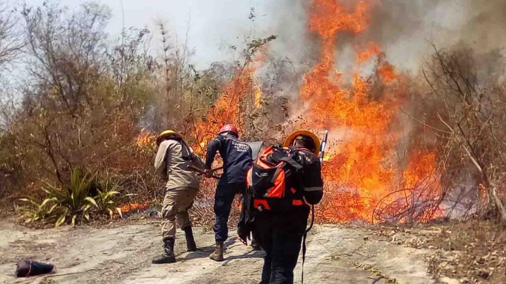 Incendios-en-Venezuela