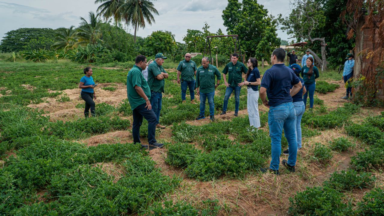 WhatsApp Image 2024-06-05 at 1.50.03 PM