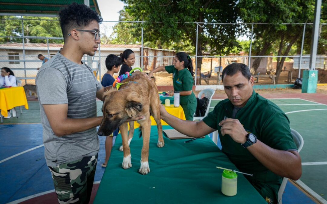Mascotas de Cujicito IV en Idelfonso Vásquez reciben Jornada de Atención Veterinaria de la Alcaldía de Maracaibo