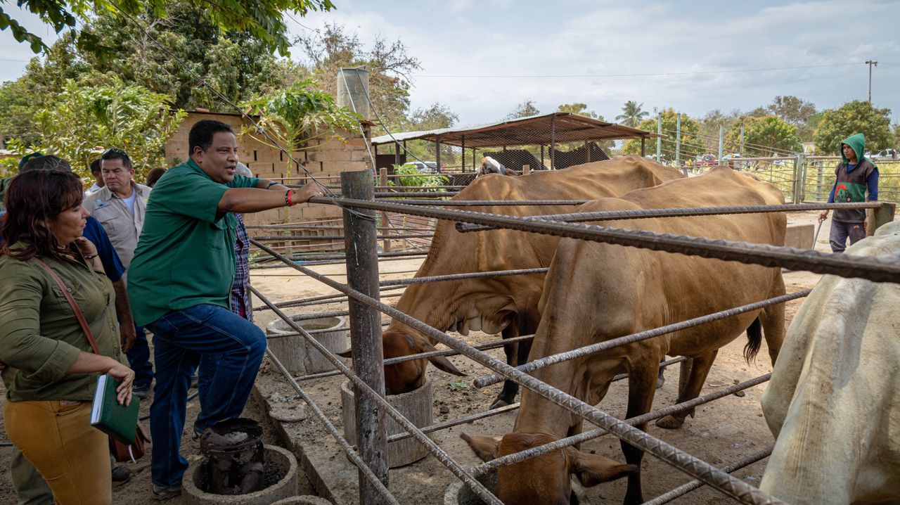 WhatsApp Image 2024-06-18 at 12.51.32 PM