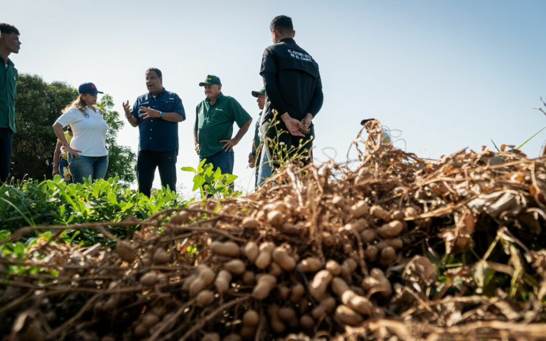 El Sueño del Maní es una realidad: Maracaibo celebra el cuarto saque de 2024 en El Polvorín