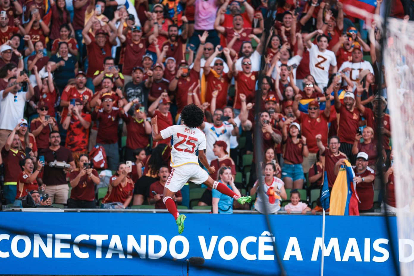 vinotinto-1392×928