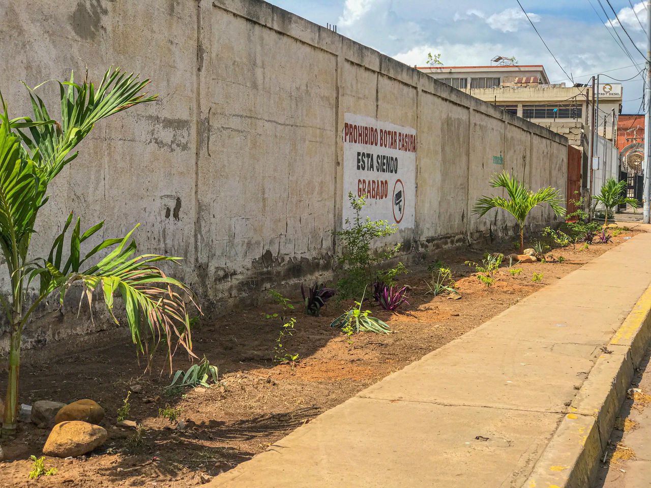 WhatsApp Image 2024-08-07 at 12.50.21 PM