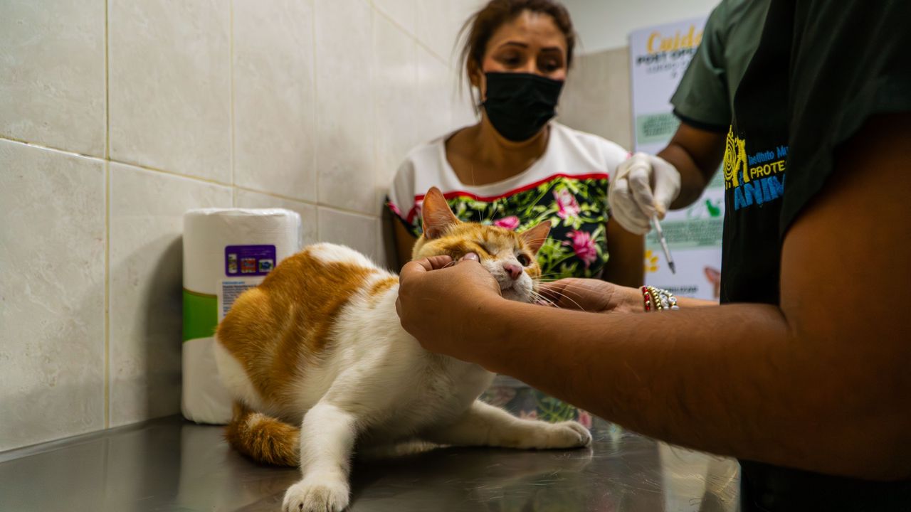 WhatsApp Image 2024-09-27 at 1.11.55 PM