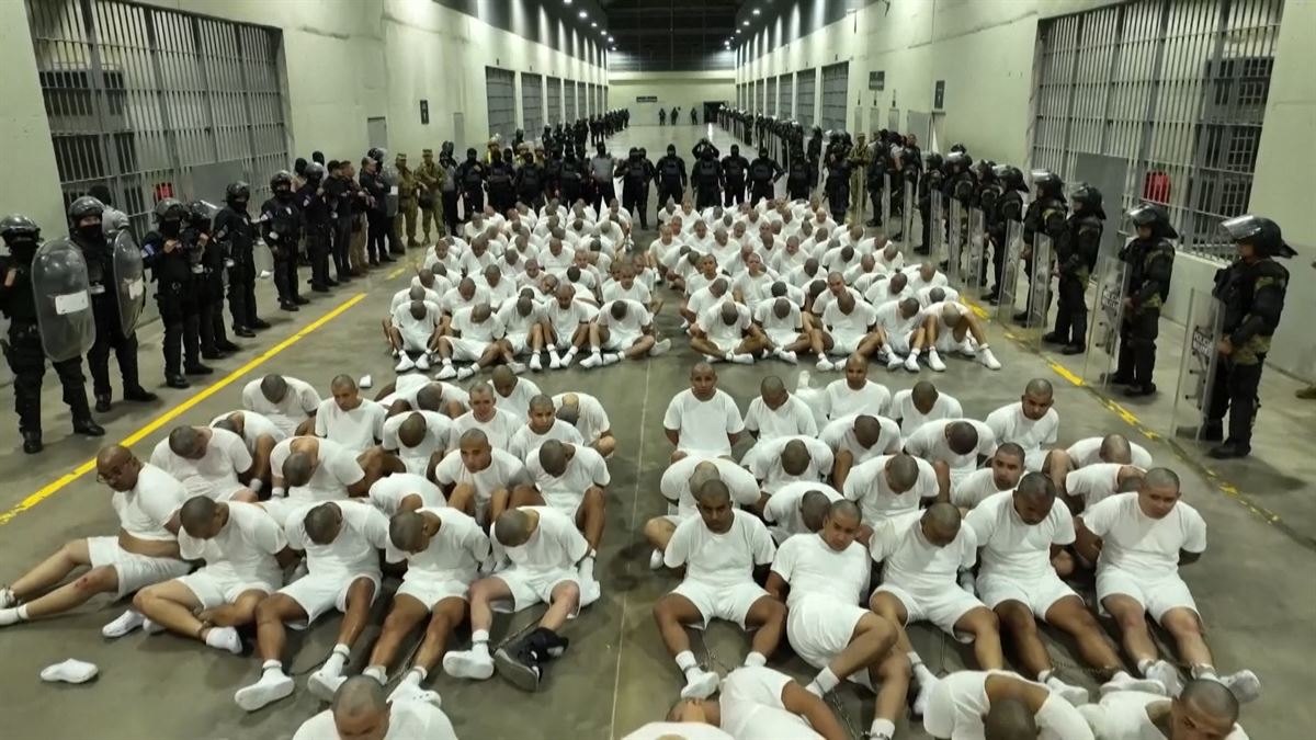 20250317082831_presoak_amp_w1200