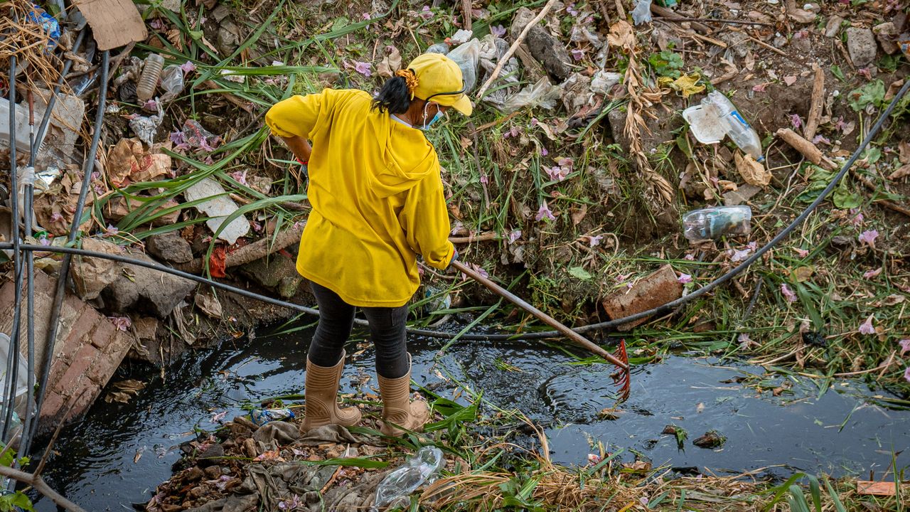 WhatsApp Image 2025-04-19 at 12.47.48 PM