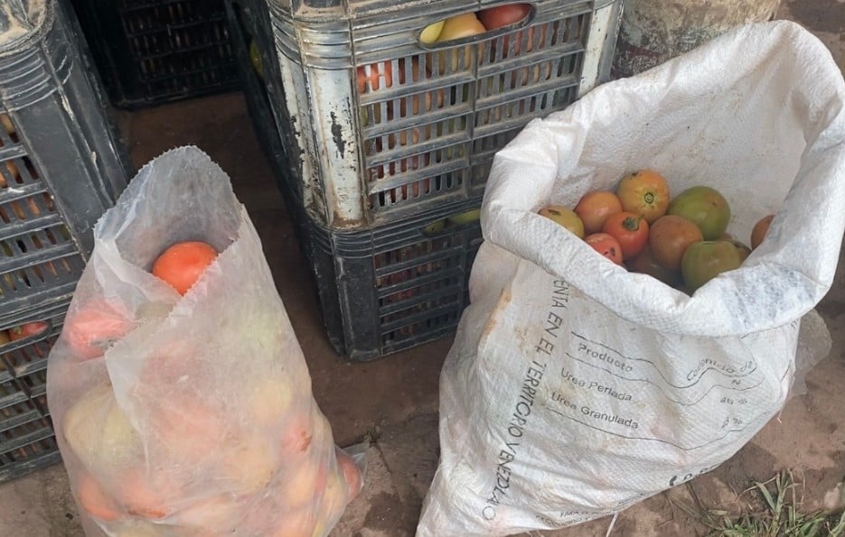 Fedenaga condena incendio de galpón y maquinaria agrícola en Guárico