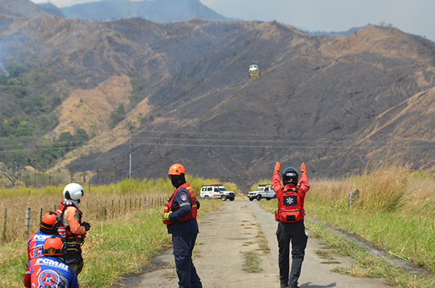 Incendio consume más de 100 hectáreas en el Parque Nacional Henri Pittier