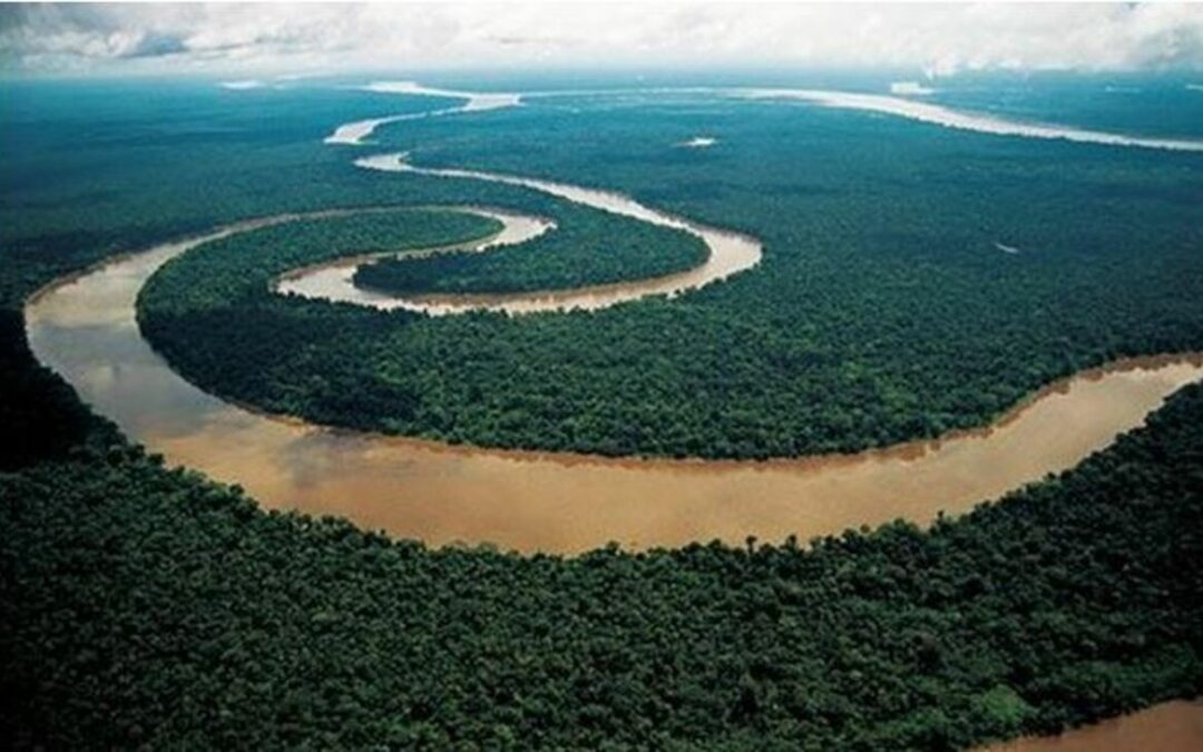 Amazonía venezolana: entre la libertad de la selva y la fragilidad urbana